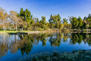 a daytime photo of a park or nature preserve with a large lake or pond and the reflection of trees in the water
