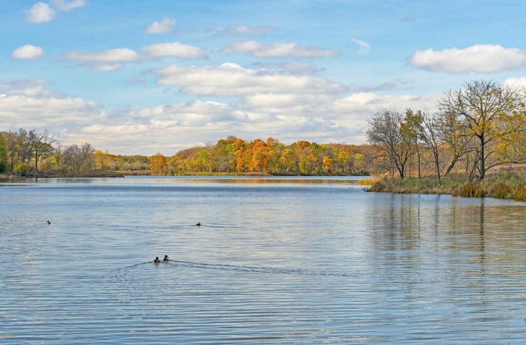 Serene Lake in the Autumn at the Ned Brown Preserve in Illinois